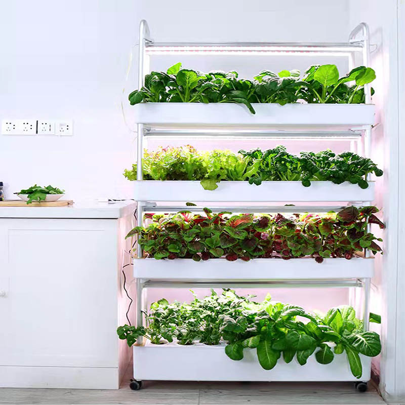 ydroponic plantsysteem Smart H - Home Automation Systems Diy recensie en prijs