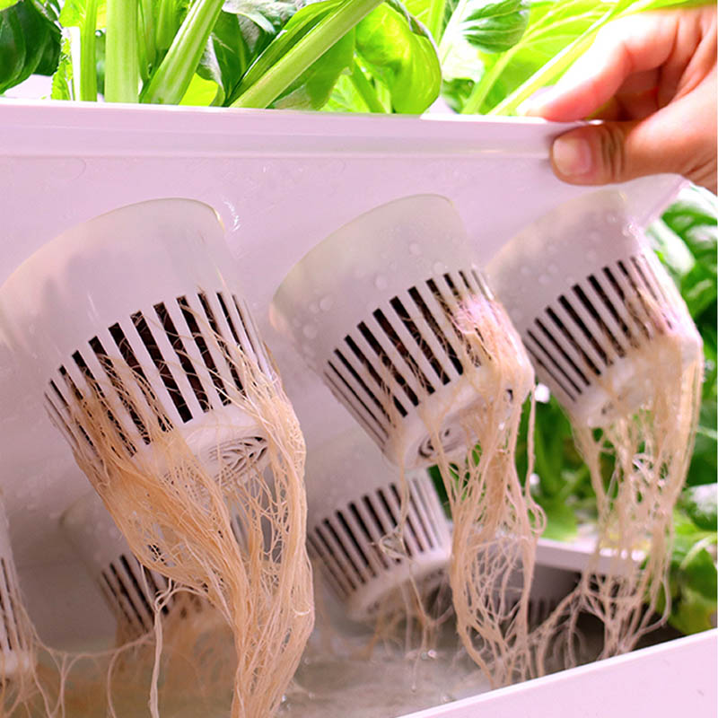 ydroponic plantsysteem Smart H - Home Automation Systems Diy recensie en prijs