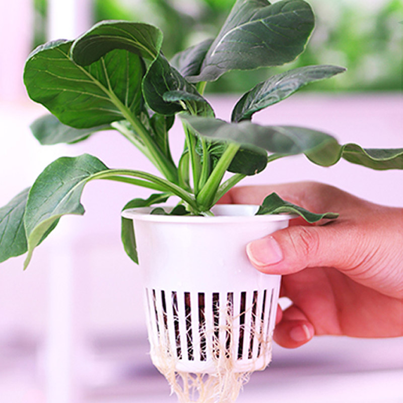 ydroponic plantsysteem Smart H - Home Automation Systems Diy recensie en prijs